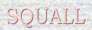 to SQUALL